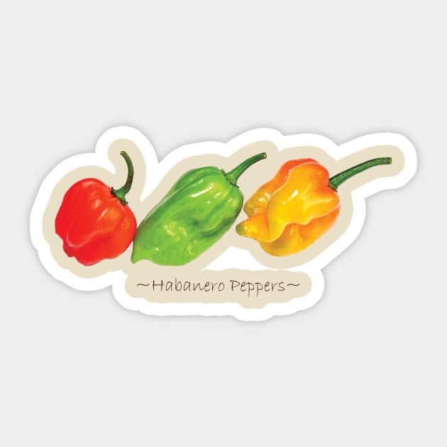 Habanero Peppers Dark Sticker by pasnthroo